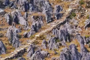 每周六/日出发【清远秦汉古道】徒步探秘阳山千年古道，带你穿越千年历史印记