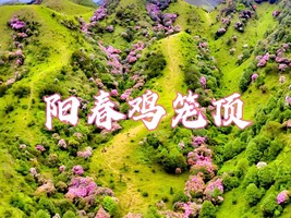 成团，特价198起！4.11晚-4.12夜爬阳春鸡笼顶看日出，打卡粤西最美大草原，赏数千亩高山杜鹃花