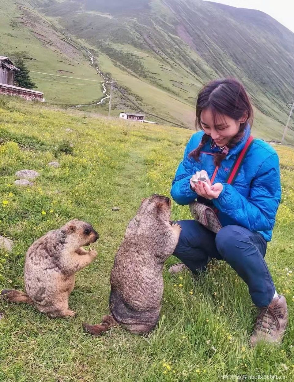 mmexport1654159233245