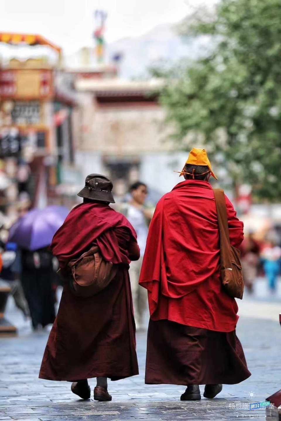 mmexport1638076270659