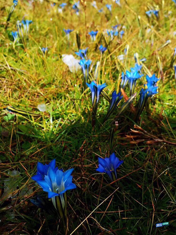 微信图片_20190408105423