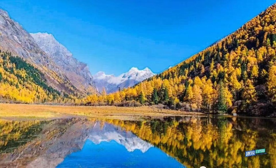 微信图片_20201012021601