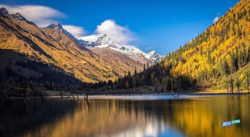 微信图片_20201012021603