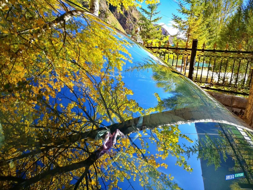 微信图片_20201012021730