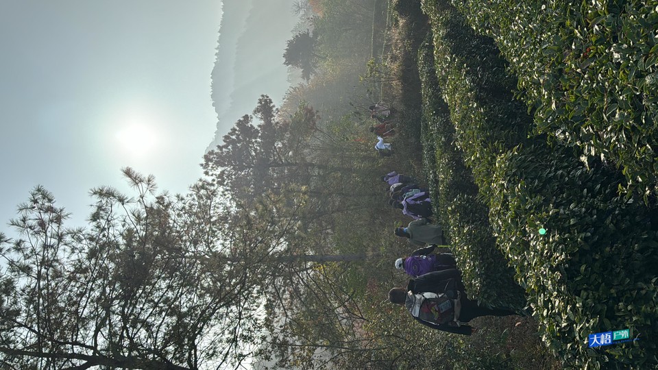 微信图片_20241124235005