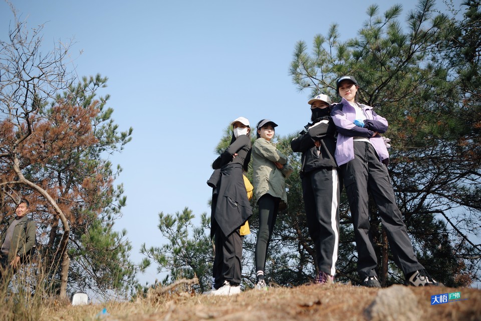 微信图片_20241124235211