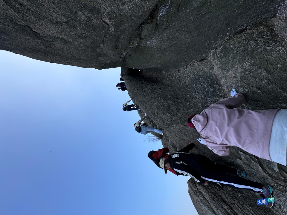 微信图片_20241124235232