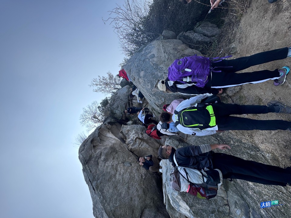 微信图片_20241124235235