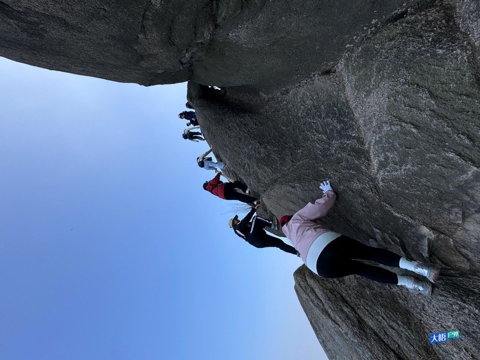 微信图片_202411242352311