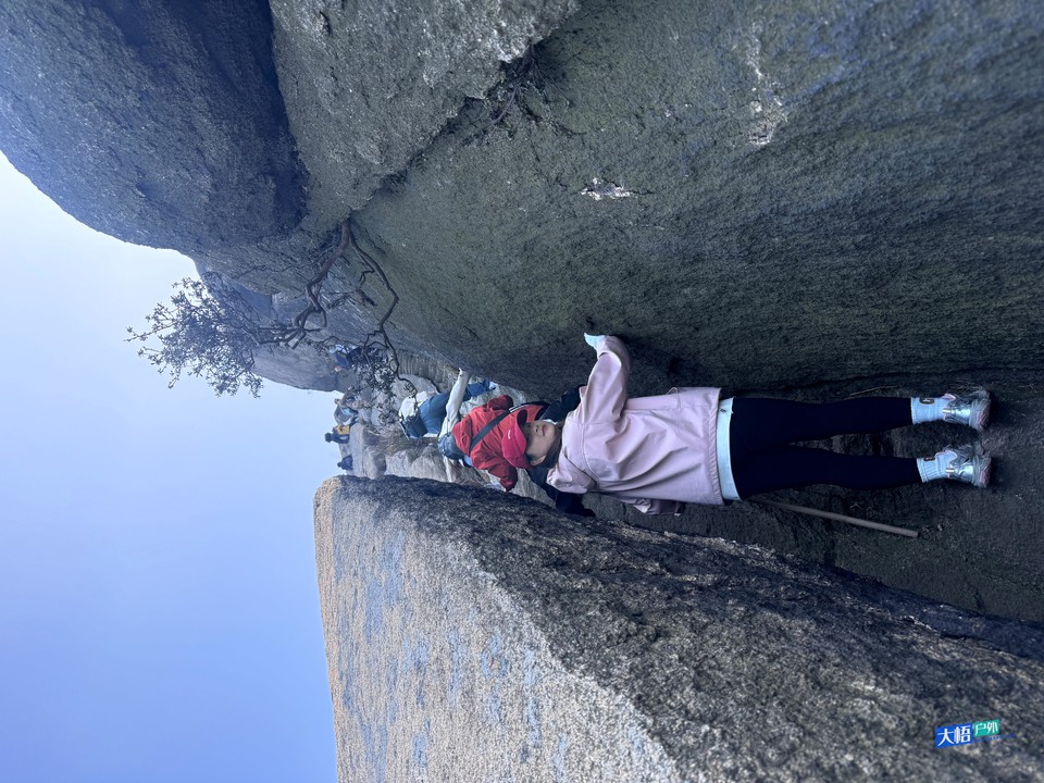 微信图片_202411242352321