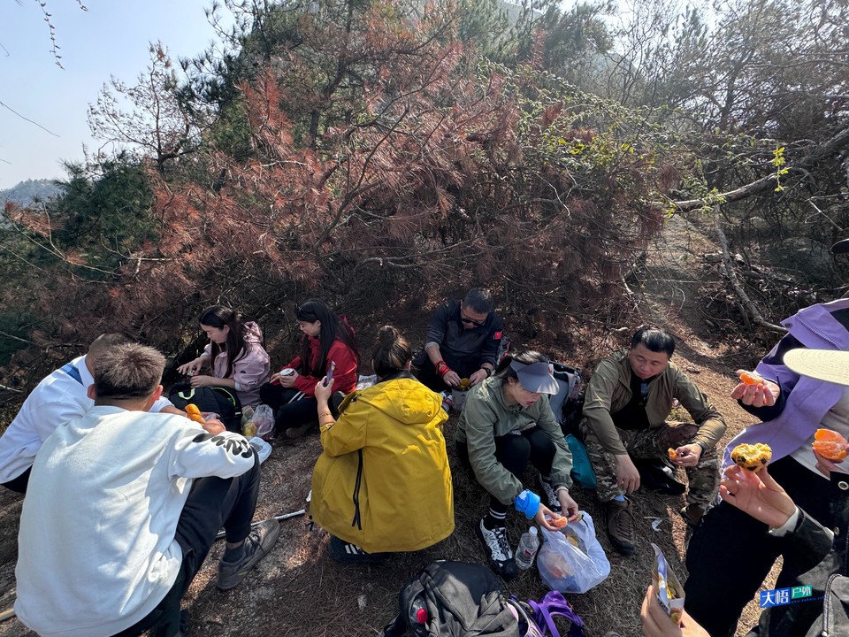 微信图片_202411242352331