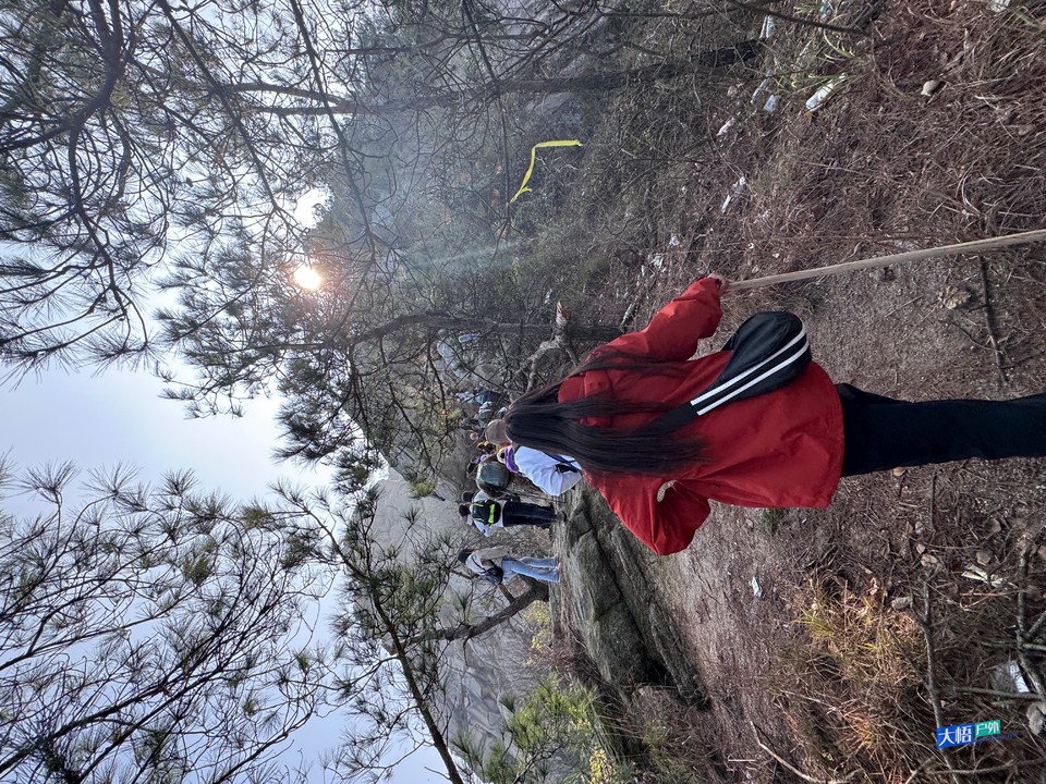 微信图片_202411242352351