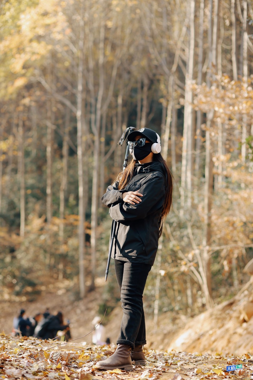 微信图片_20241202150141