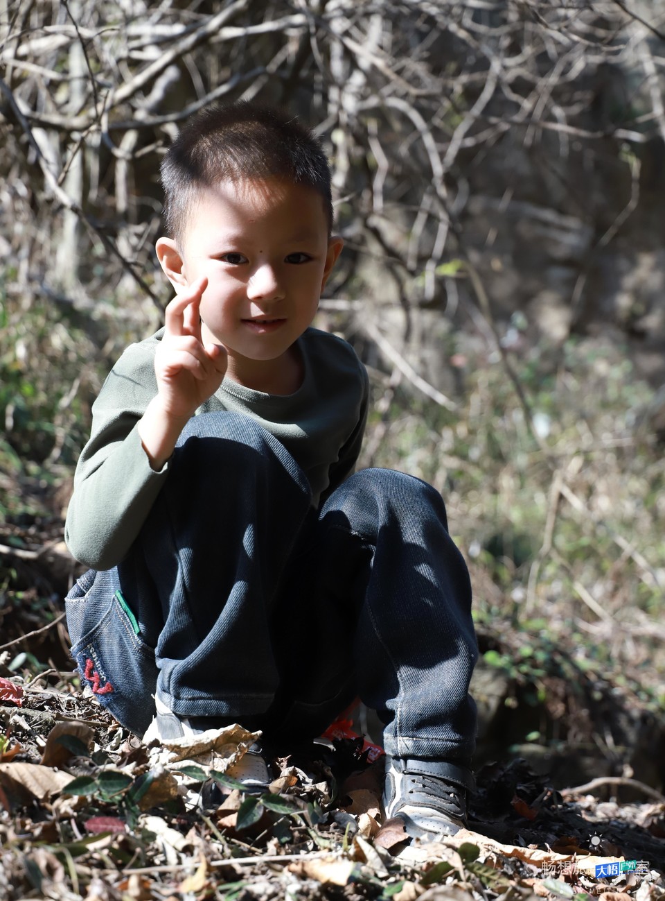 微信图片_20241202150204