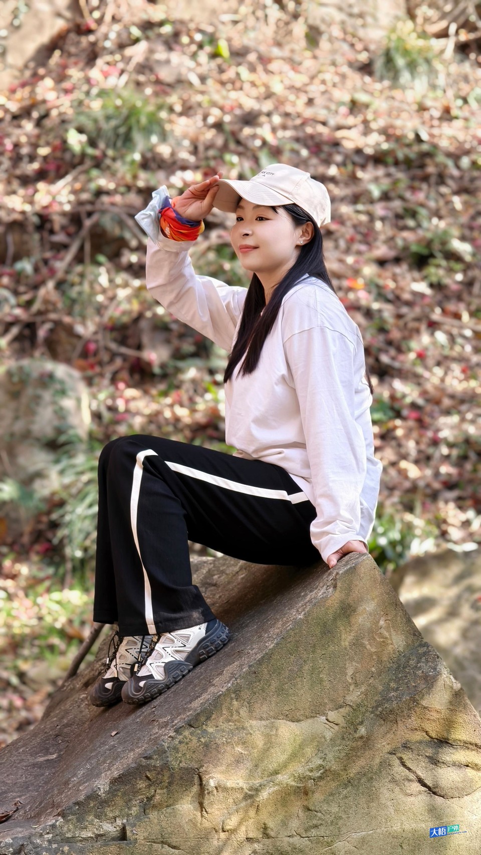 微信图片_20241201233225