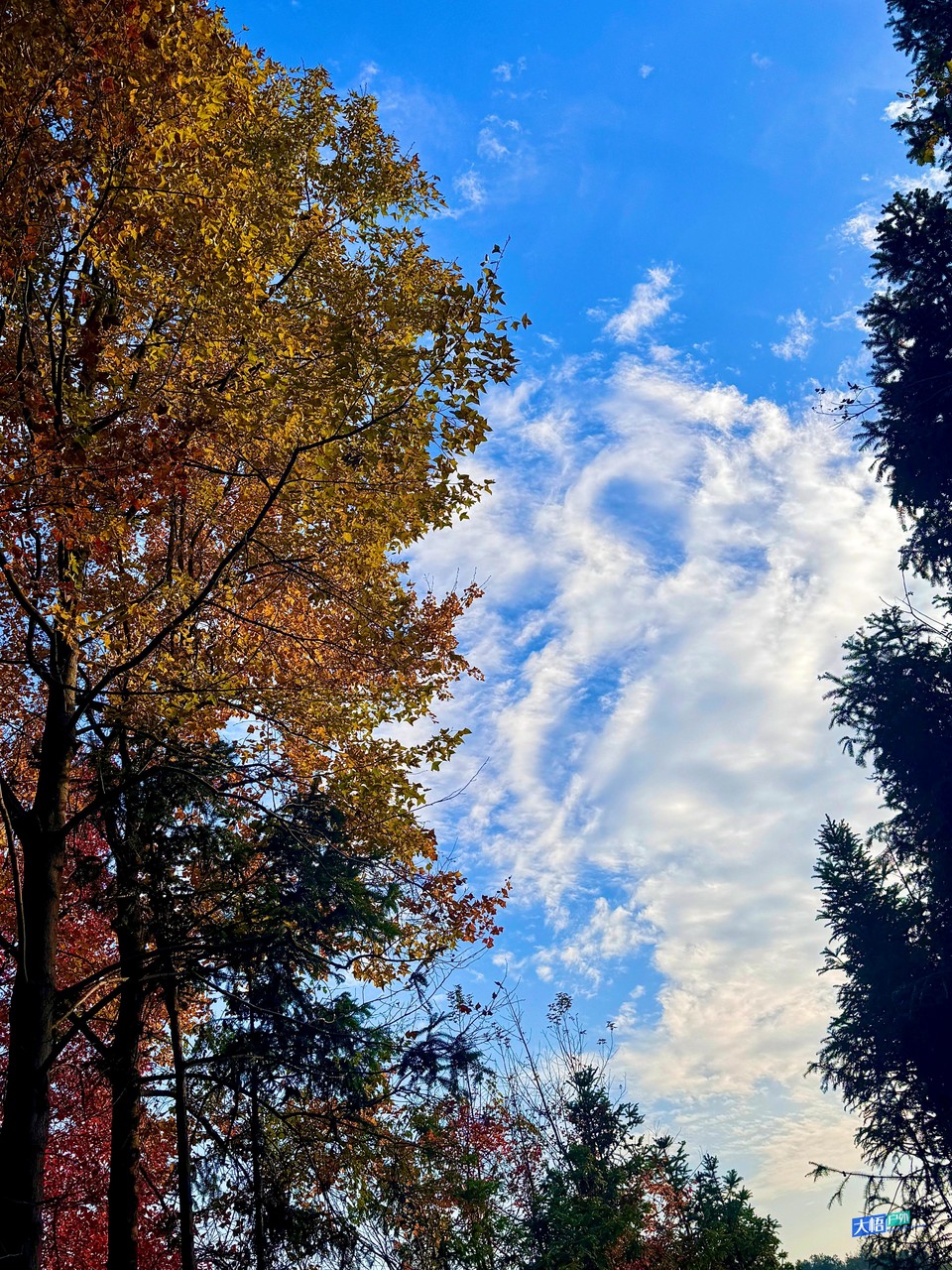 微信图片_20241202113323