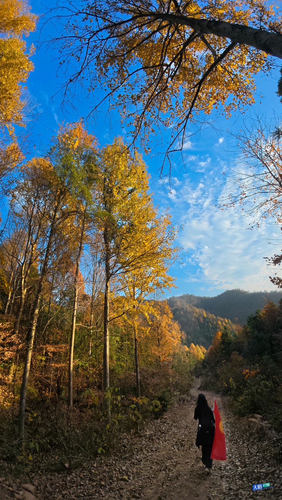 微信图片_20241202113701