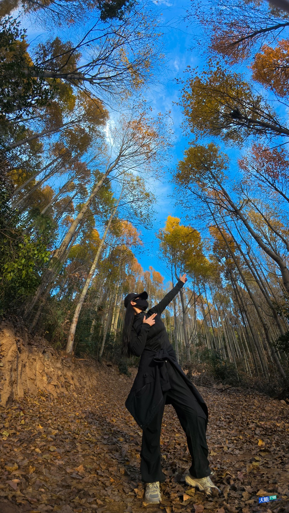 微信图片_20241202113704