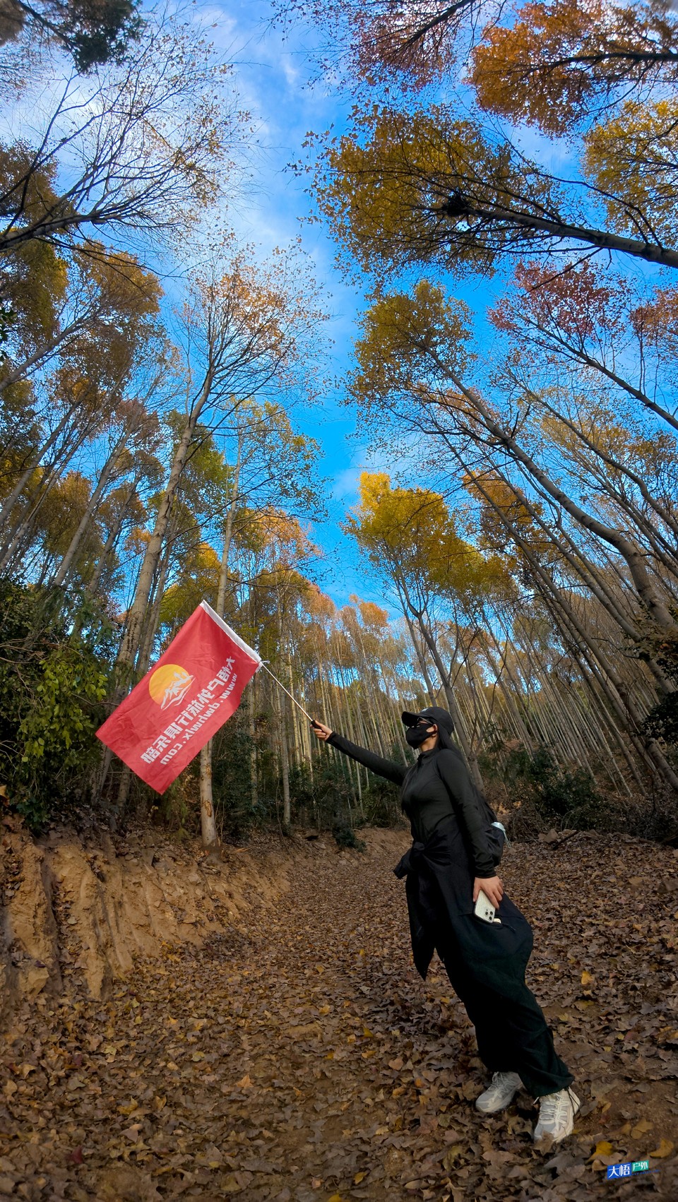 微信图片_20241202113708