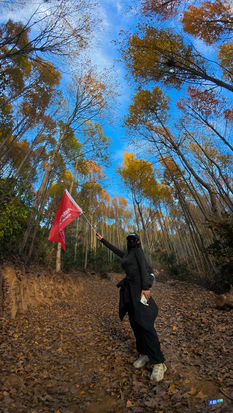 微信图片_20241202113715