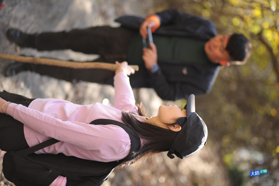 微信图片_20241202132404