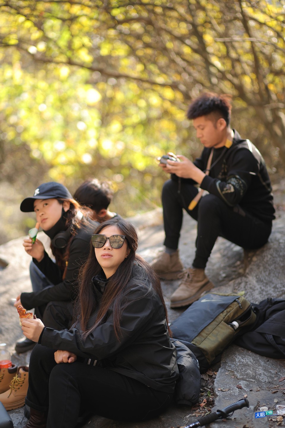 微信图片_20241202132413