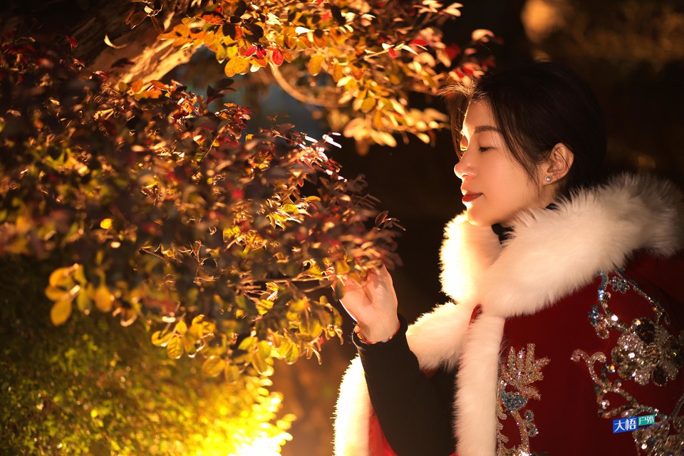 微信图片_20241217022432