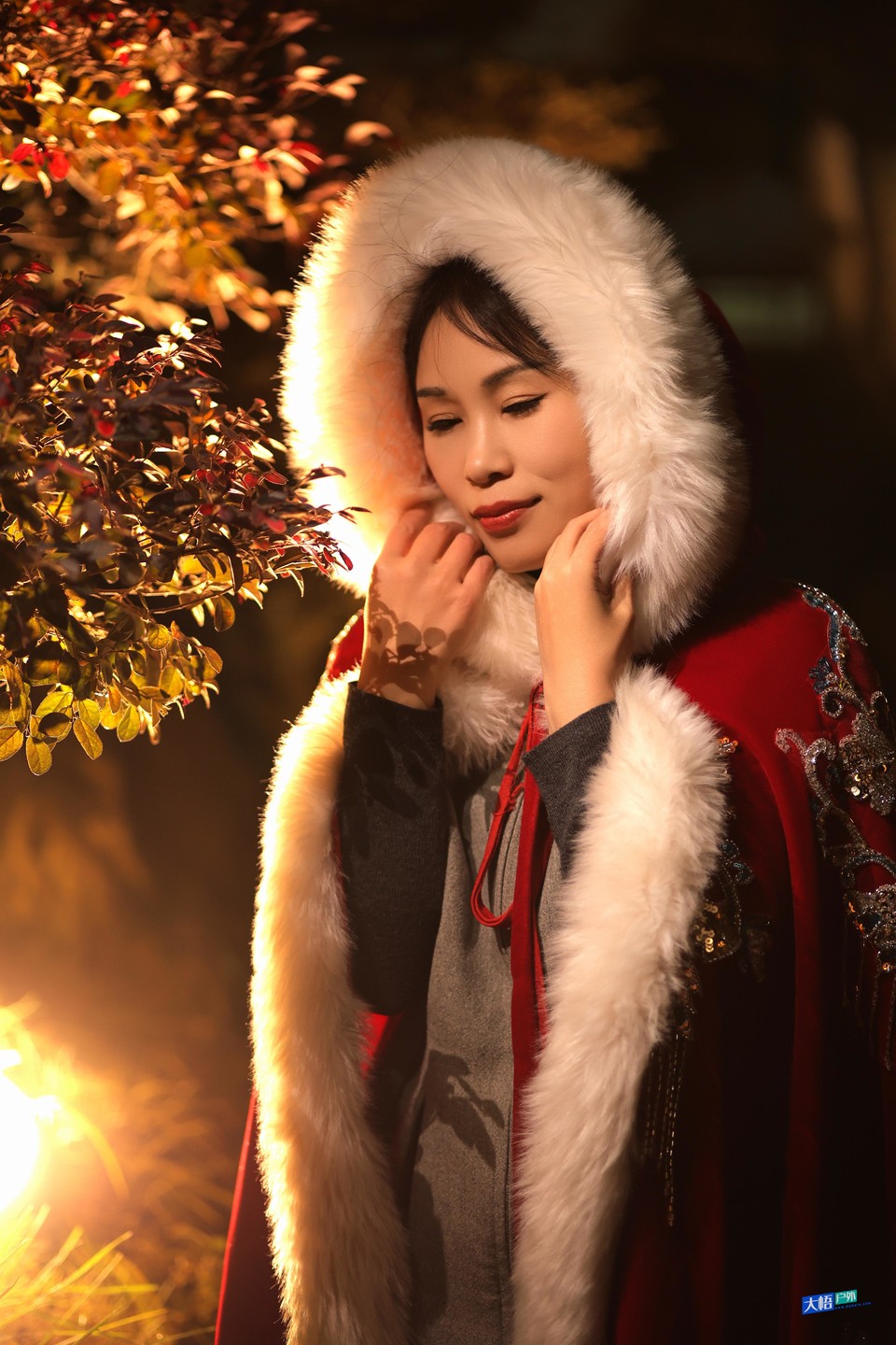 微信图片_20241217022436