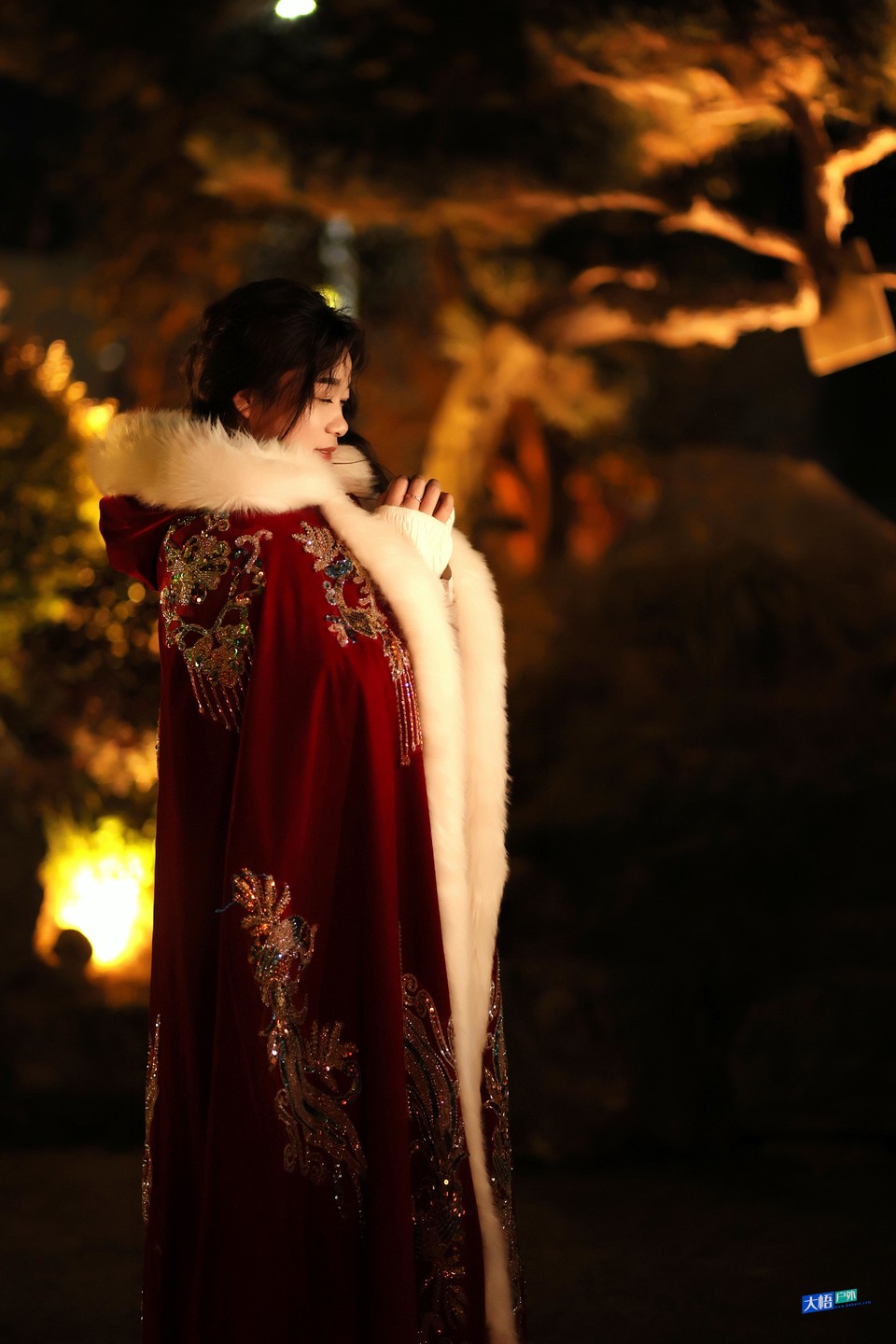 微信图片_20241217032300