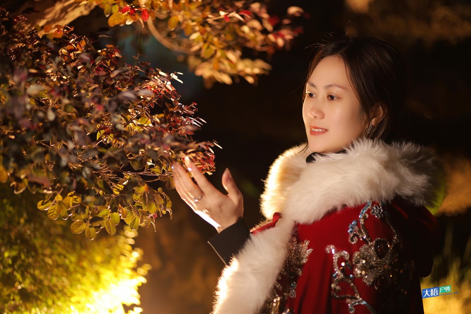 微信图片_20241217032333