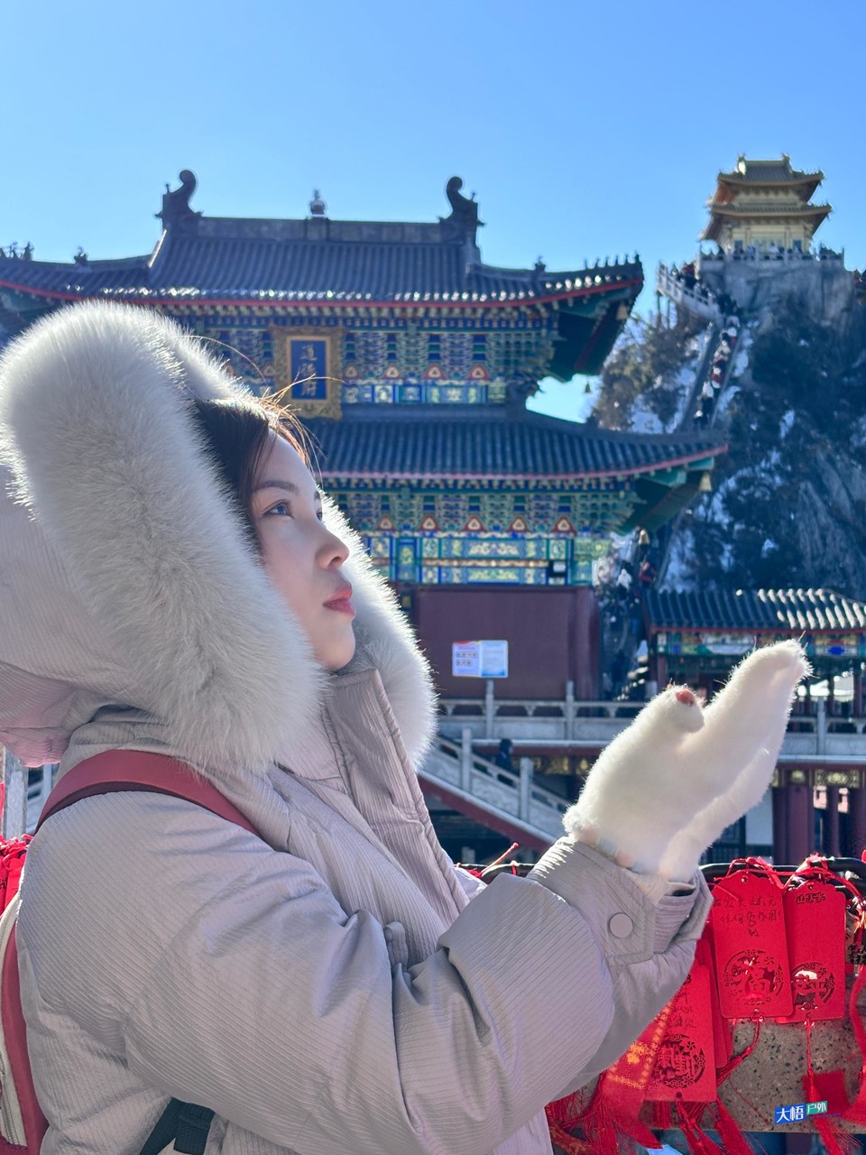 微信图片_20241217171137