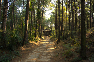 【征途计划之四川】金牛古道+剑门关+昭化古城轻徒步5日
