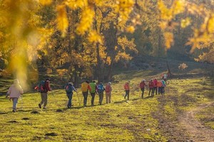 【喀纳斯环线】新疆禾木+白哈巴+喀纳斯+贾登峪+半路客栈轻装徒步7日