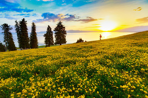 【征途计划之新疆】行走天山 新疆喀拉峻—徒步世界自然遗产6日环线徒步