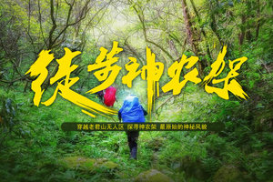 【秘境寻踪】向野性致敬-4月杜鹃花开华中屋脊神农架原始森林老君山徒步轻装穿越活动（优化版）