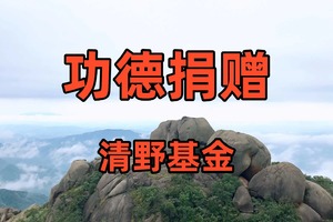 【功德捐赠-清野基金】