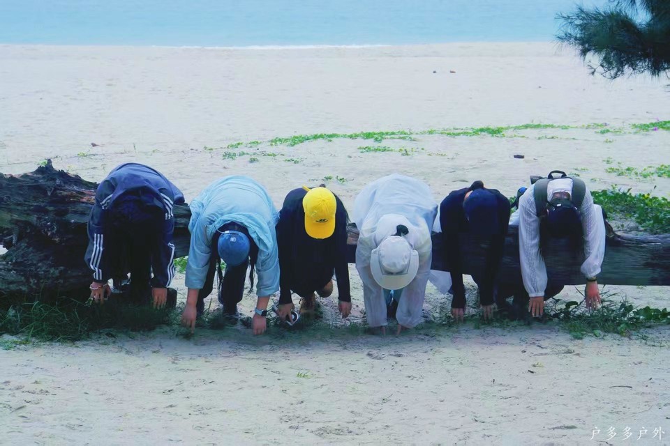 微信图片_20250606103719