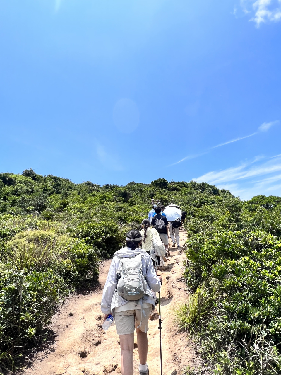 2024-03-17 162000 (11)