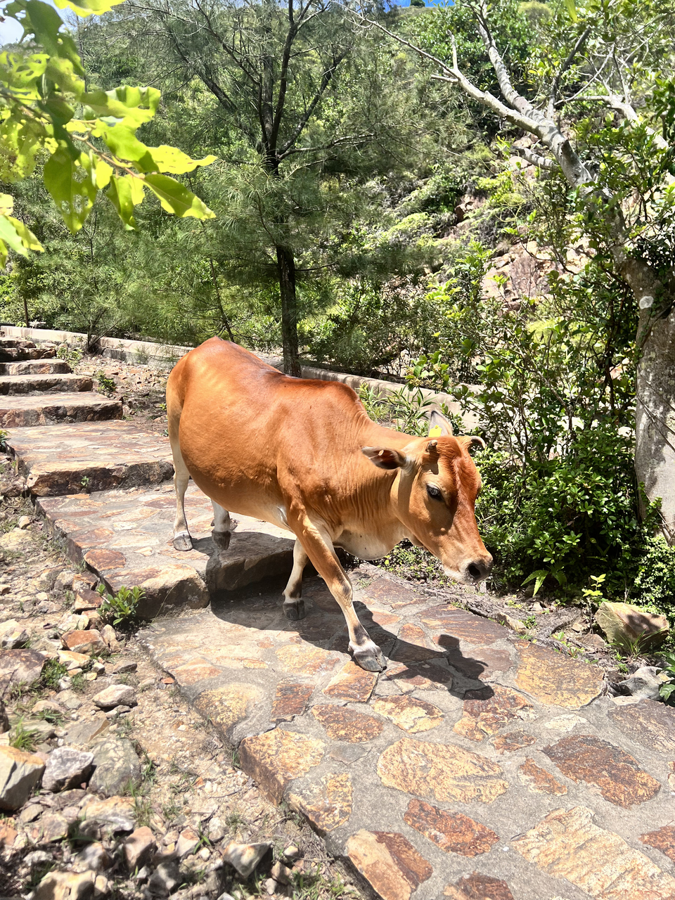 2024-03-17 162000 (37)