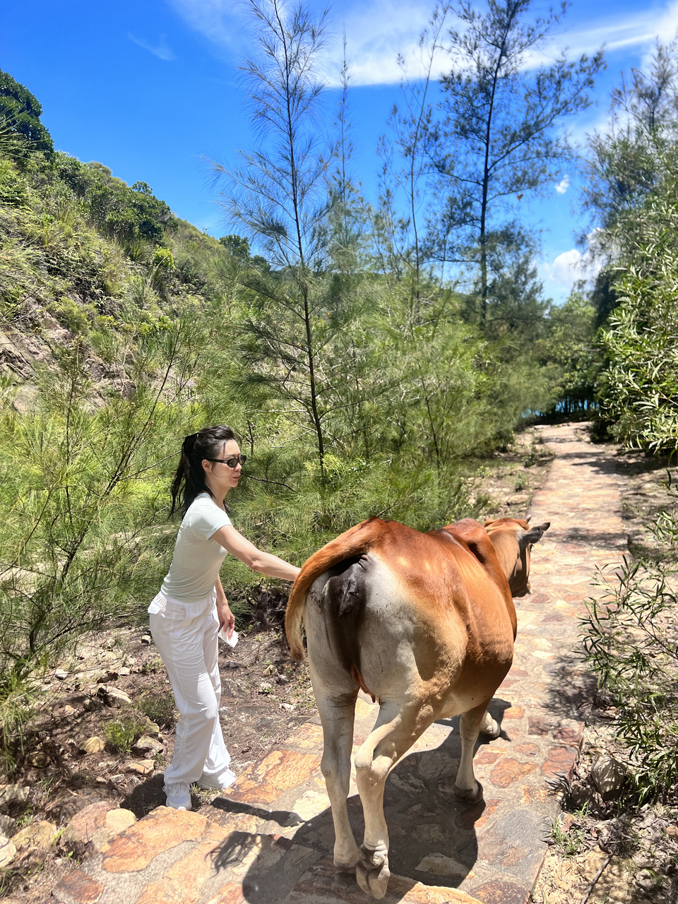 2024-03-17 162000 (38)