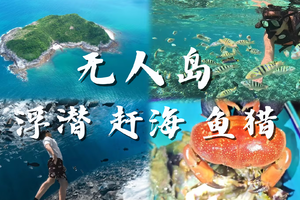 广东境内小众无人岛 · 浮潜 / 赶海 / 鱼猎 · 硬核野玩招募中（限非周末）错峰游玩，拒绝拥挤！