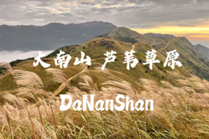 【中等】惠东大南山，广东“小武功山”徒步穿越高山草甸，芦苇花开了