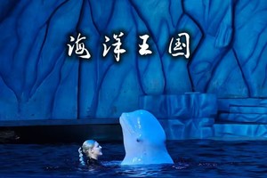 周末 珠海长隆诲洋王囯