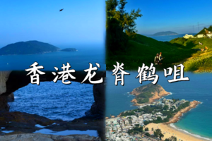 周末发团香港入门徒步线路-龙脊+鹤咀