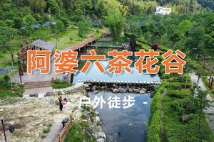 3月08日召集！【广100第一站·阿婆六国际茶花谷徒步节】藏在从化的“莫奈花园”，花海，竹林，乡村之旅