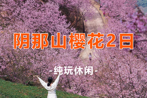 【梅州阴那山樱花2天】 广东最美梅州茶园樱花、灵光寺祈愿、中国客家博物馆、千佛塔、油罗街美食2日游