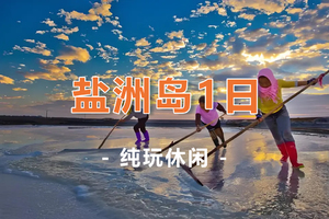 【盐洲岛1天】盐洲岛红树林出海打渔观白鹭纷飞、黑排角彩石滩美拍、赶海、古法制盐一天
