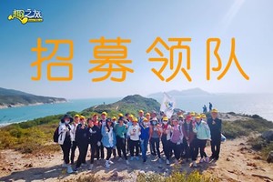 招募领队-带队领队&活动策划领队