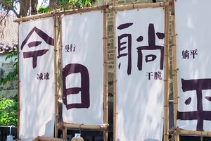 【鹏城精彩自由行】桔钓沙/杨梅坑/鹿嘴山庄/较场尾/大鹏古城/中英街/东门老街/东西涌/莲花山 1日游