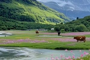 【探秘泸亚】提前报名！泸沽湖-稻城亚丁-新都桥-理塘-海子山-走婚桥 穿越极致风光的心灵奇旅（成都集散） 8日游